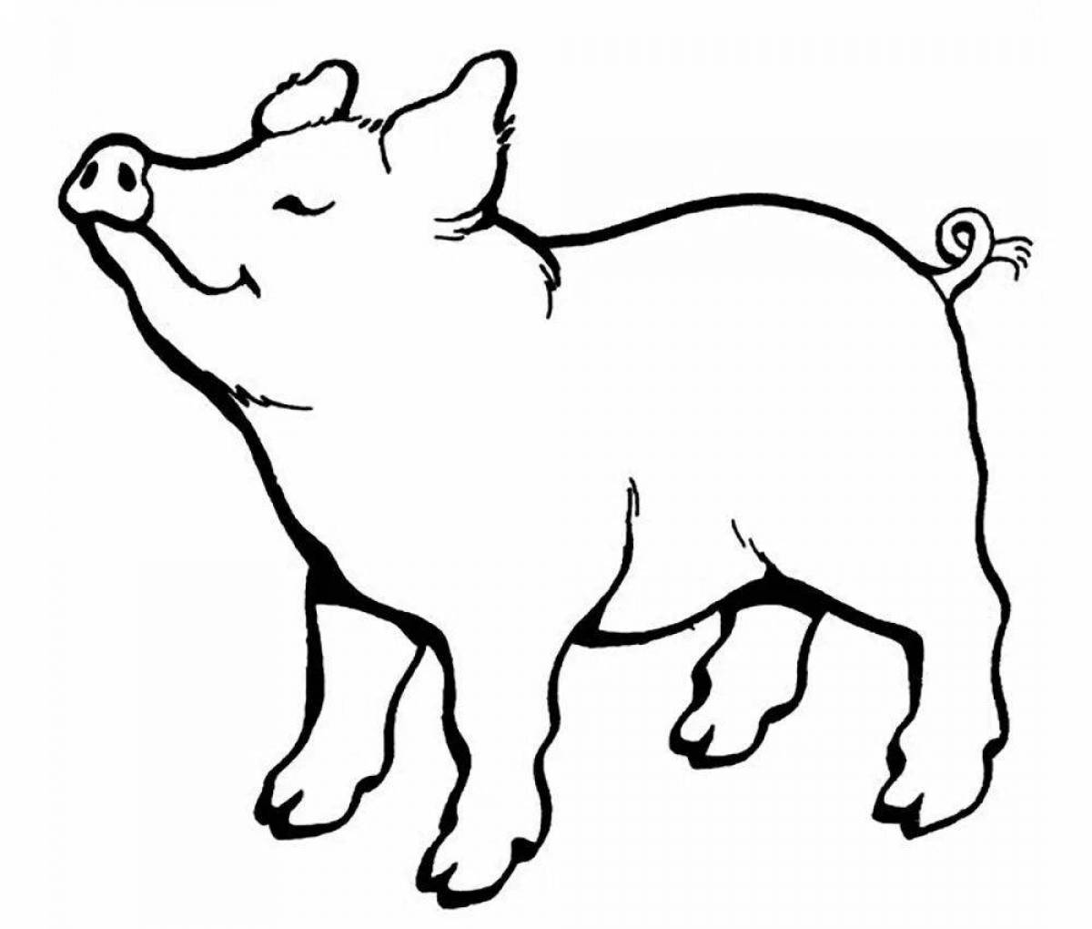 Раскраска мордатая мини-свинка