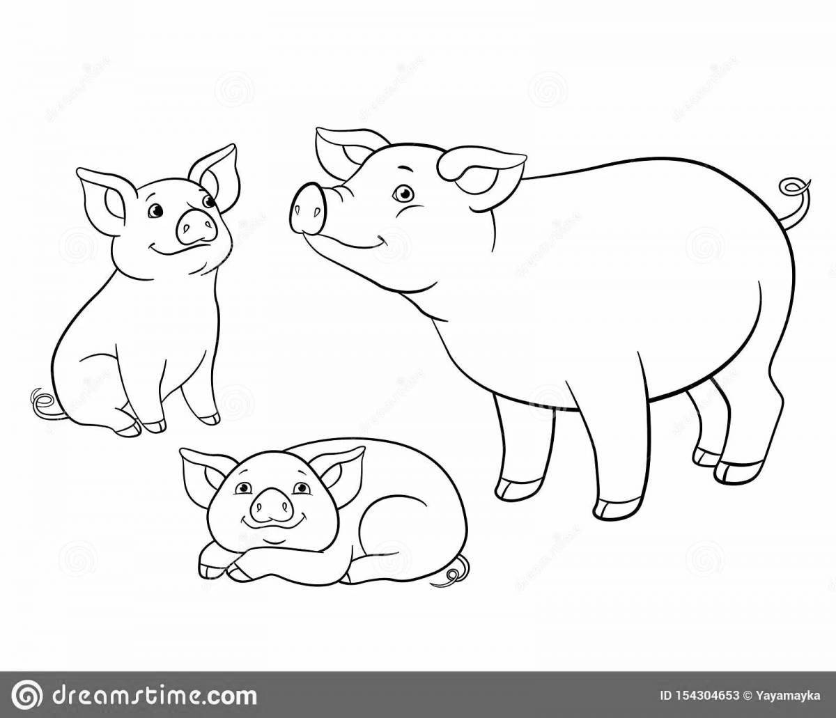 Coloring grunting mini-pig