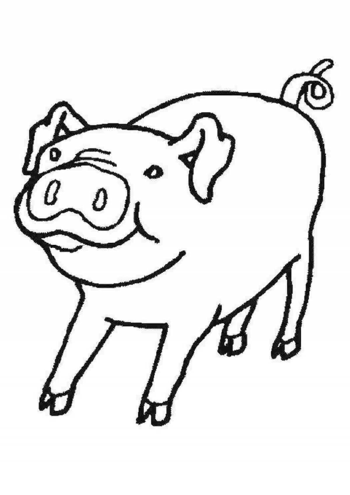 Coloring page inquisitive mini pig
