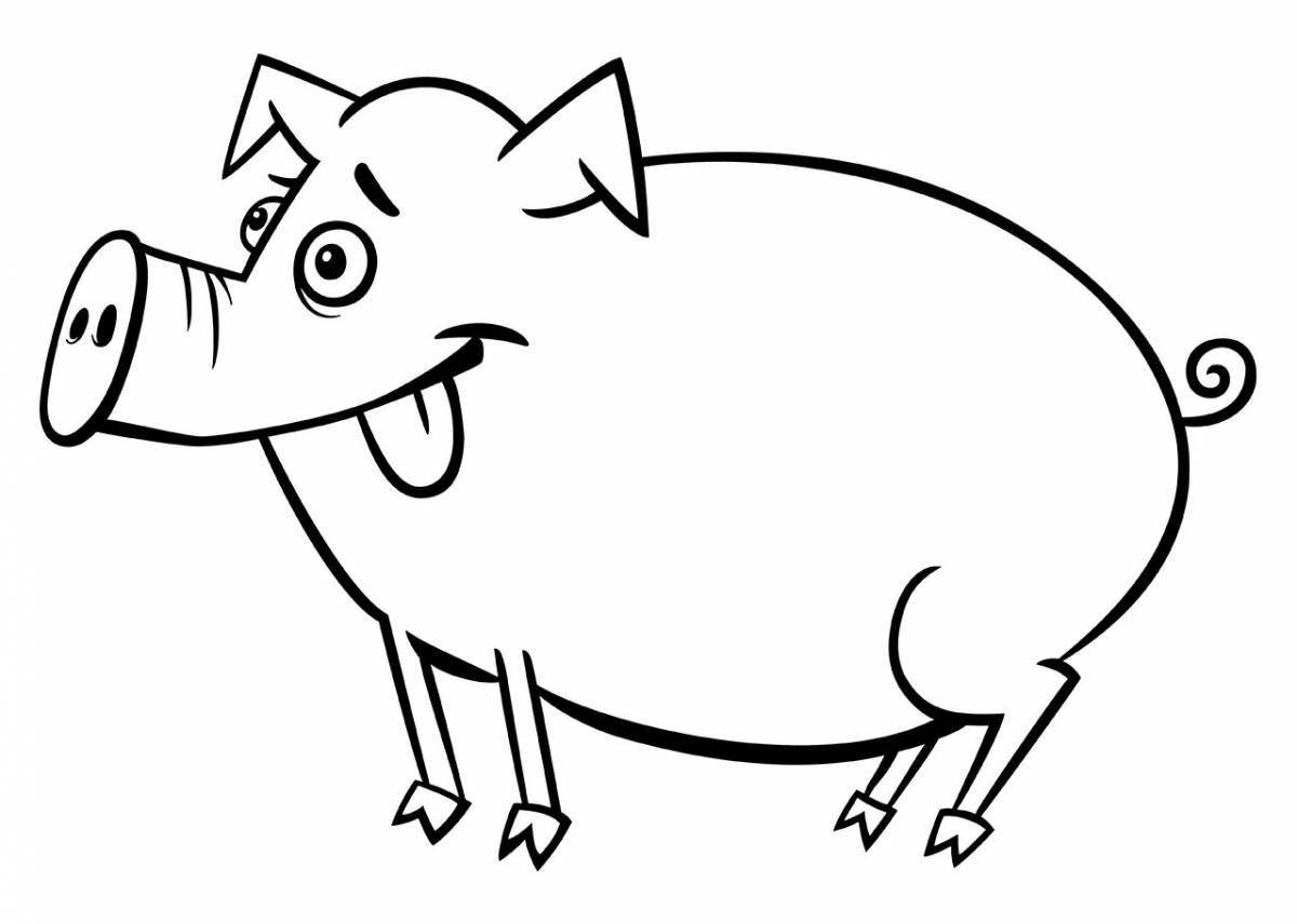 Mini pig #10