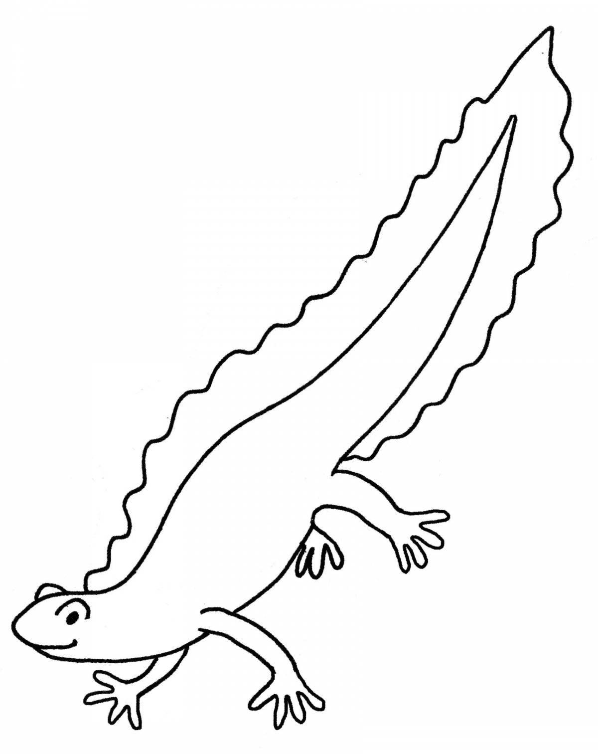 Fun common newt coloring page