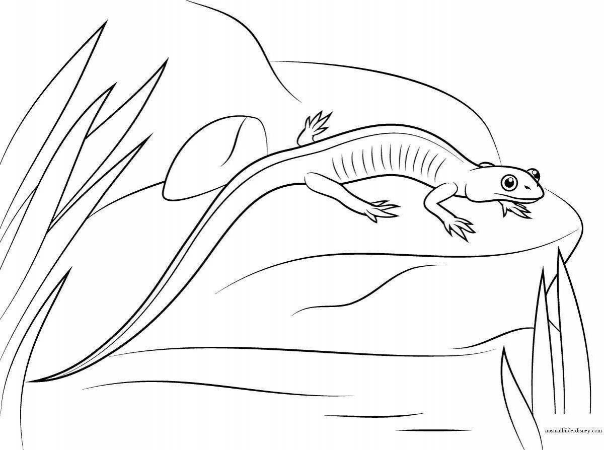 Adorable common newt coloring page