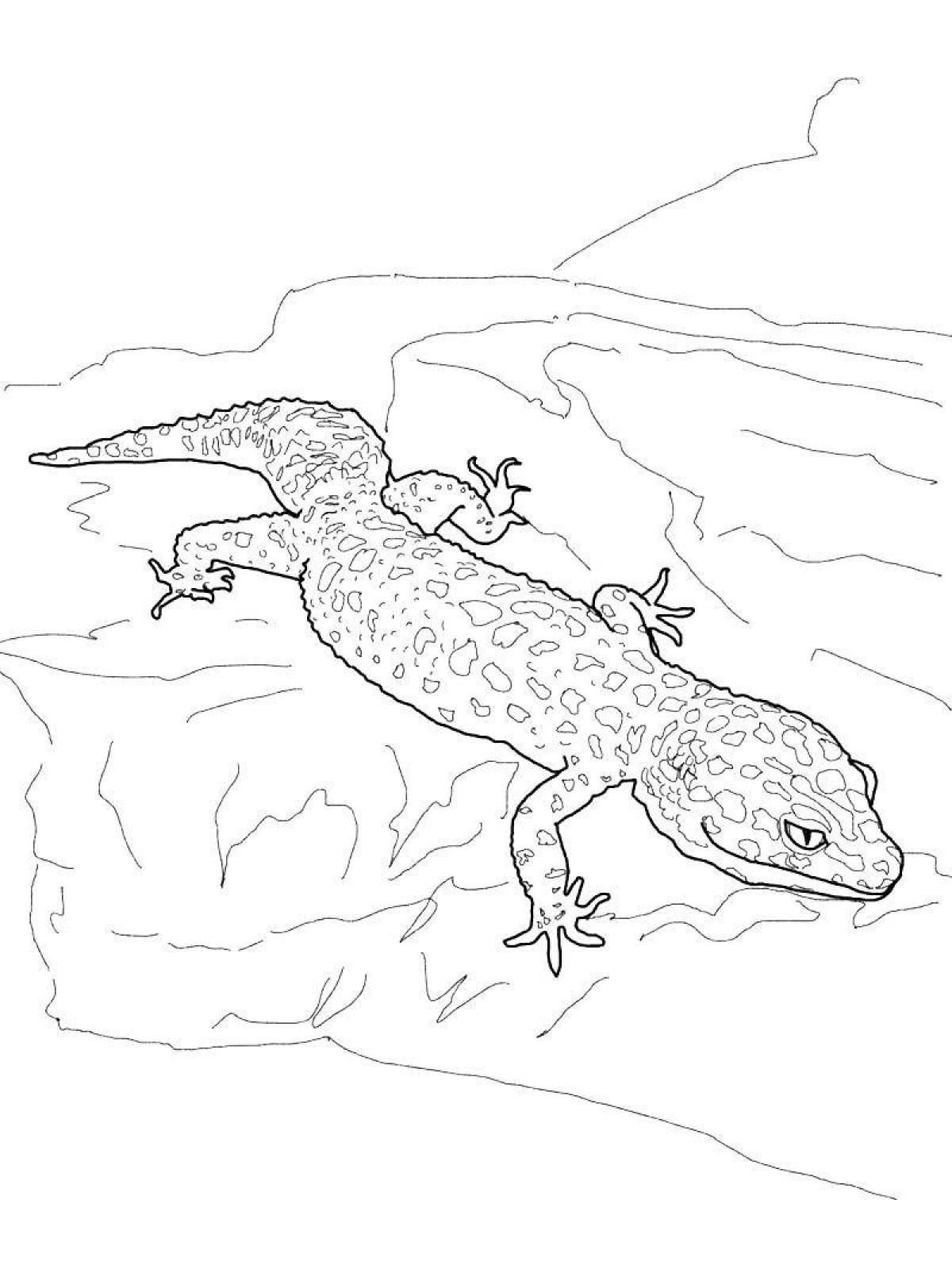 Adorable Common Newt Coloring Page