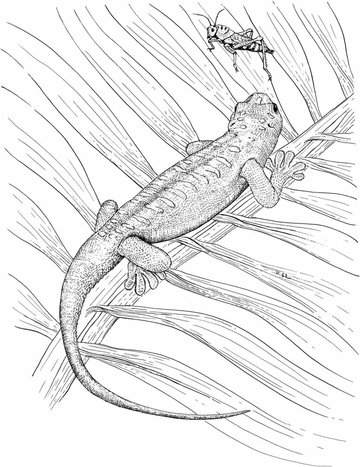 Cute common newt coloring page
