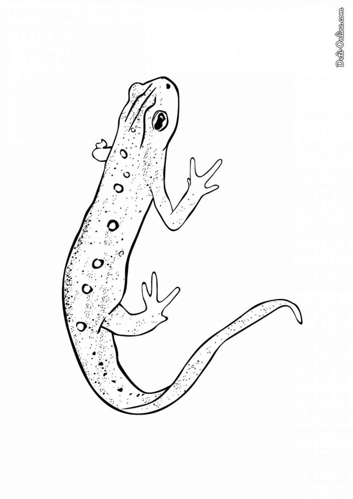 Comic coloring of the common newt