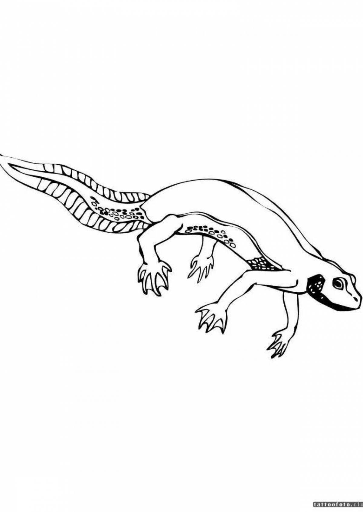 Fun coloring of the common newt