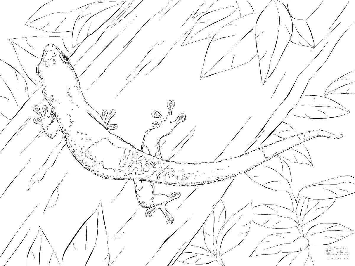 Funny common newt coloring page