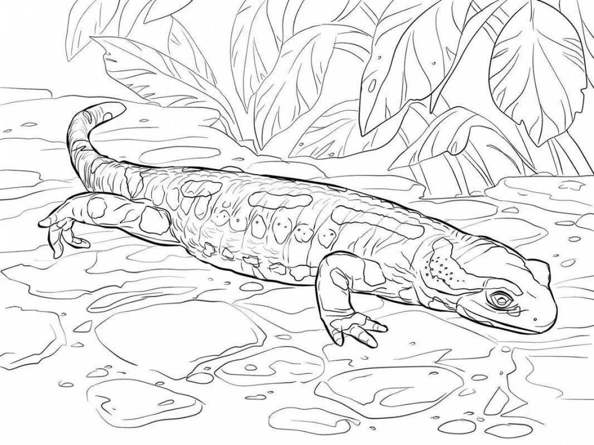 Coloring book ambitious common newt