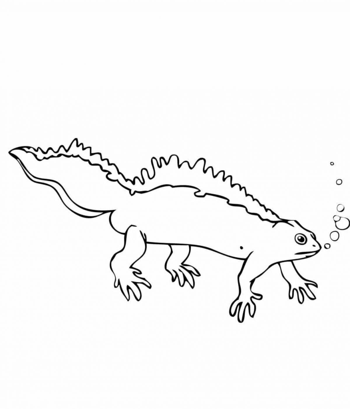 Coloring page of the cheeky common newt