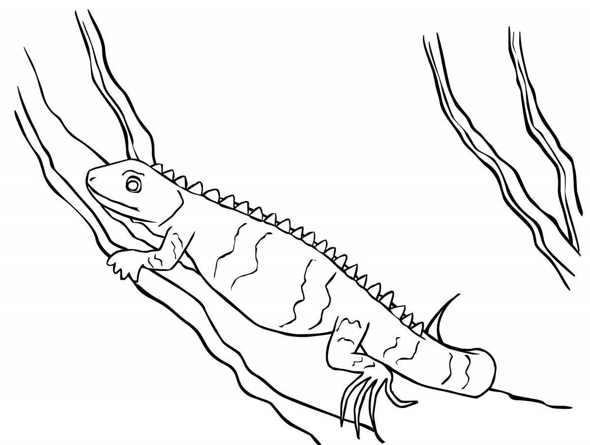 Courageous common newt coloring page