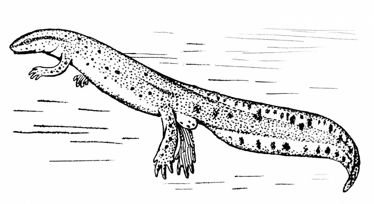 Fearless common newt coloring page