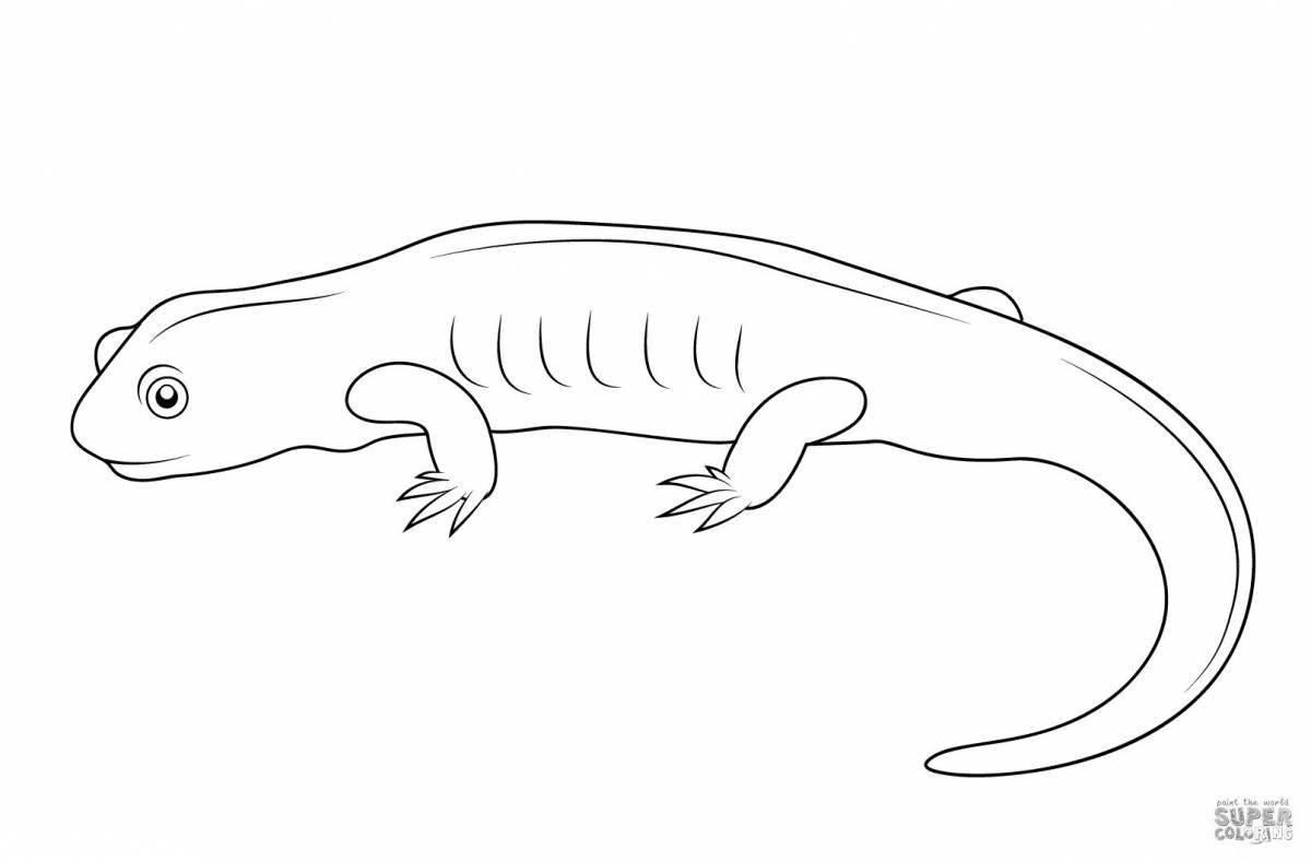 Great common newt coloring page