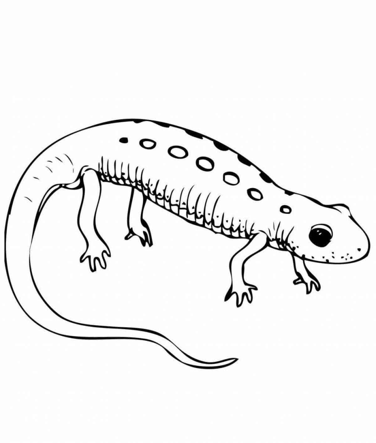 Greater common newt coloring page