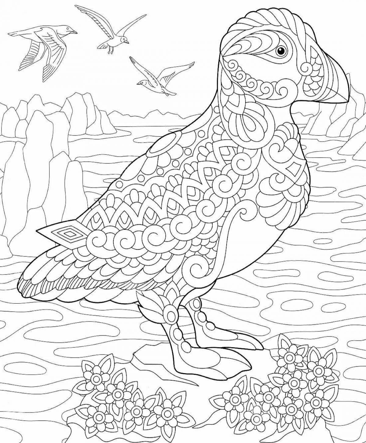 Colorful puffins coloring page