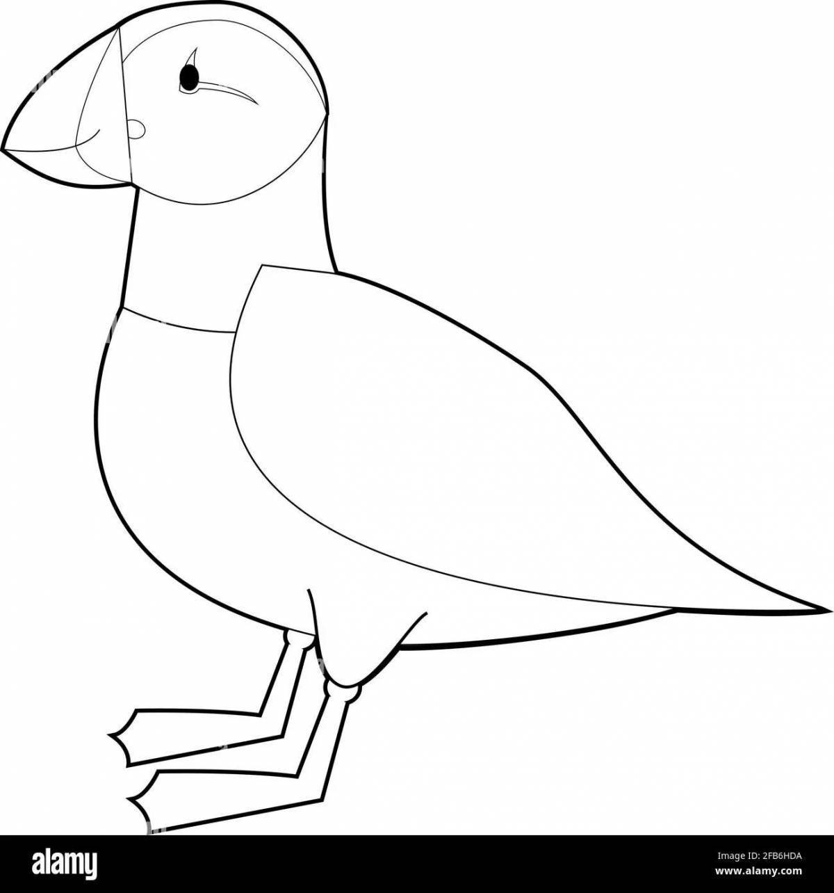 Bright puffin coloring page