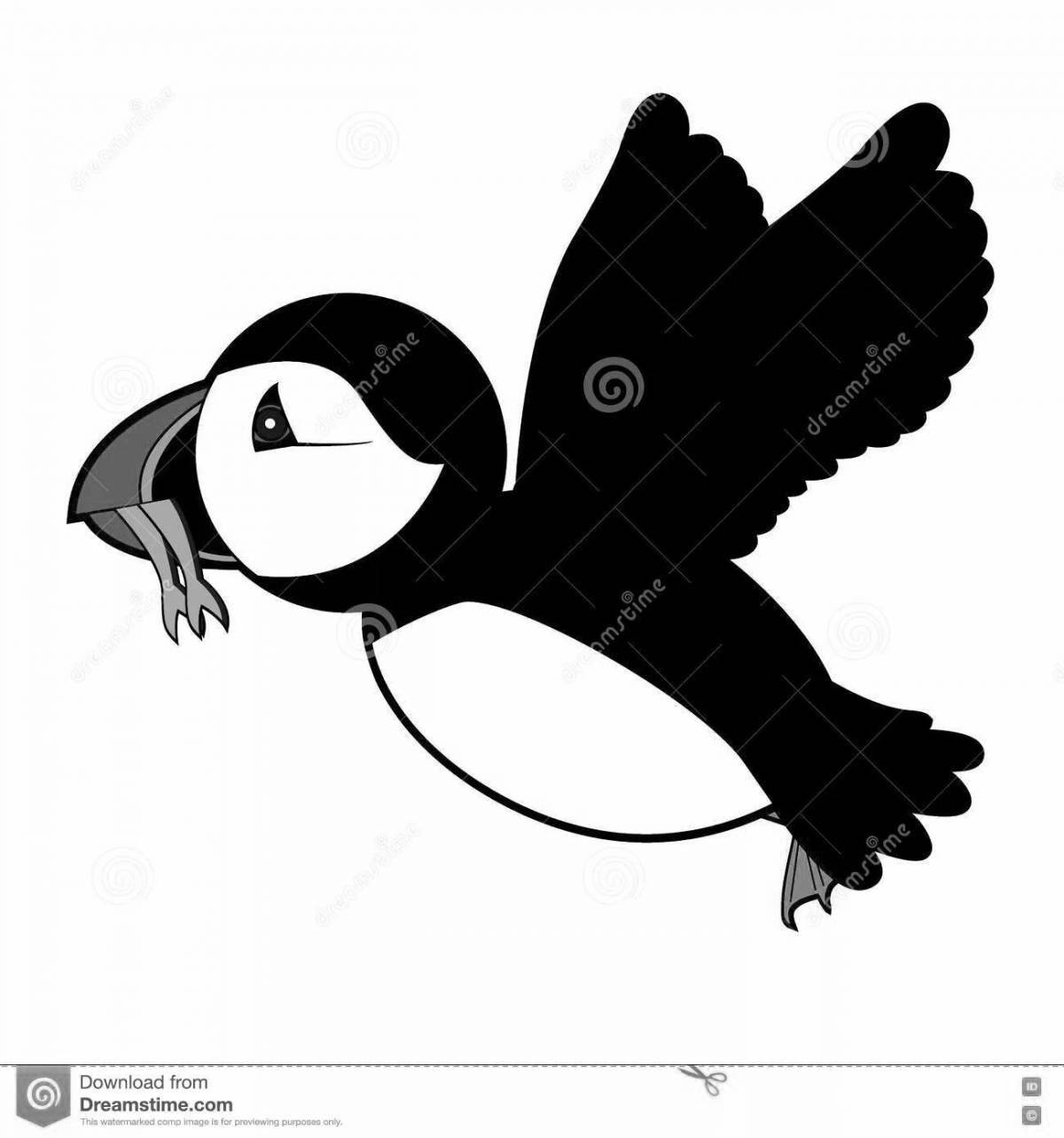 Coloring page playful puffin bird