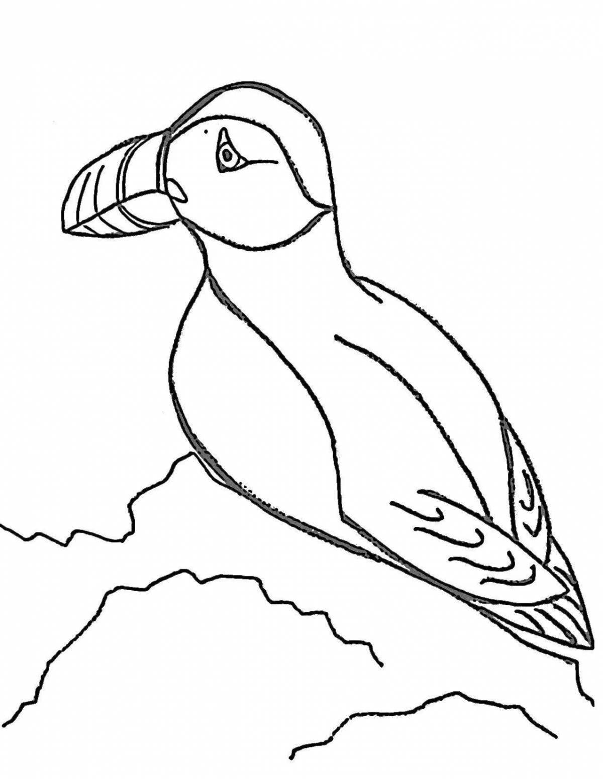 Adorable puffin coloring page