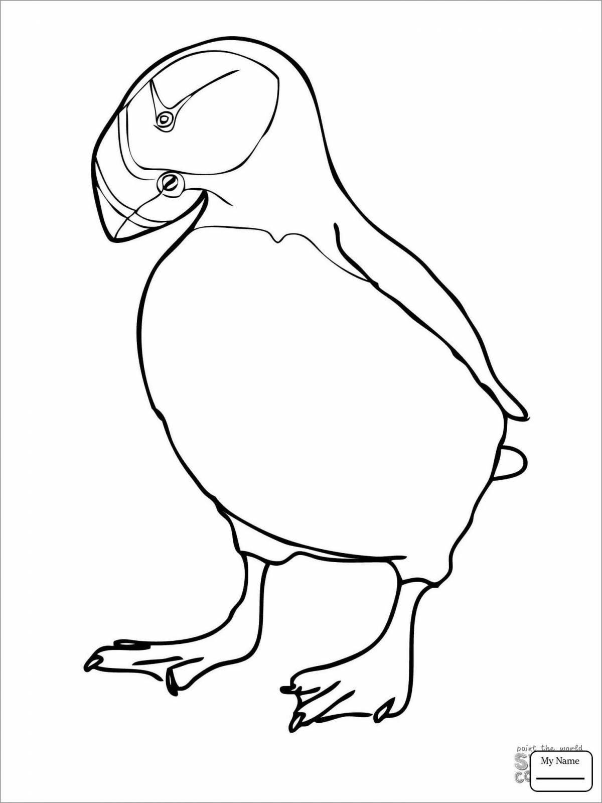 Amazing puffin coloring page