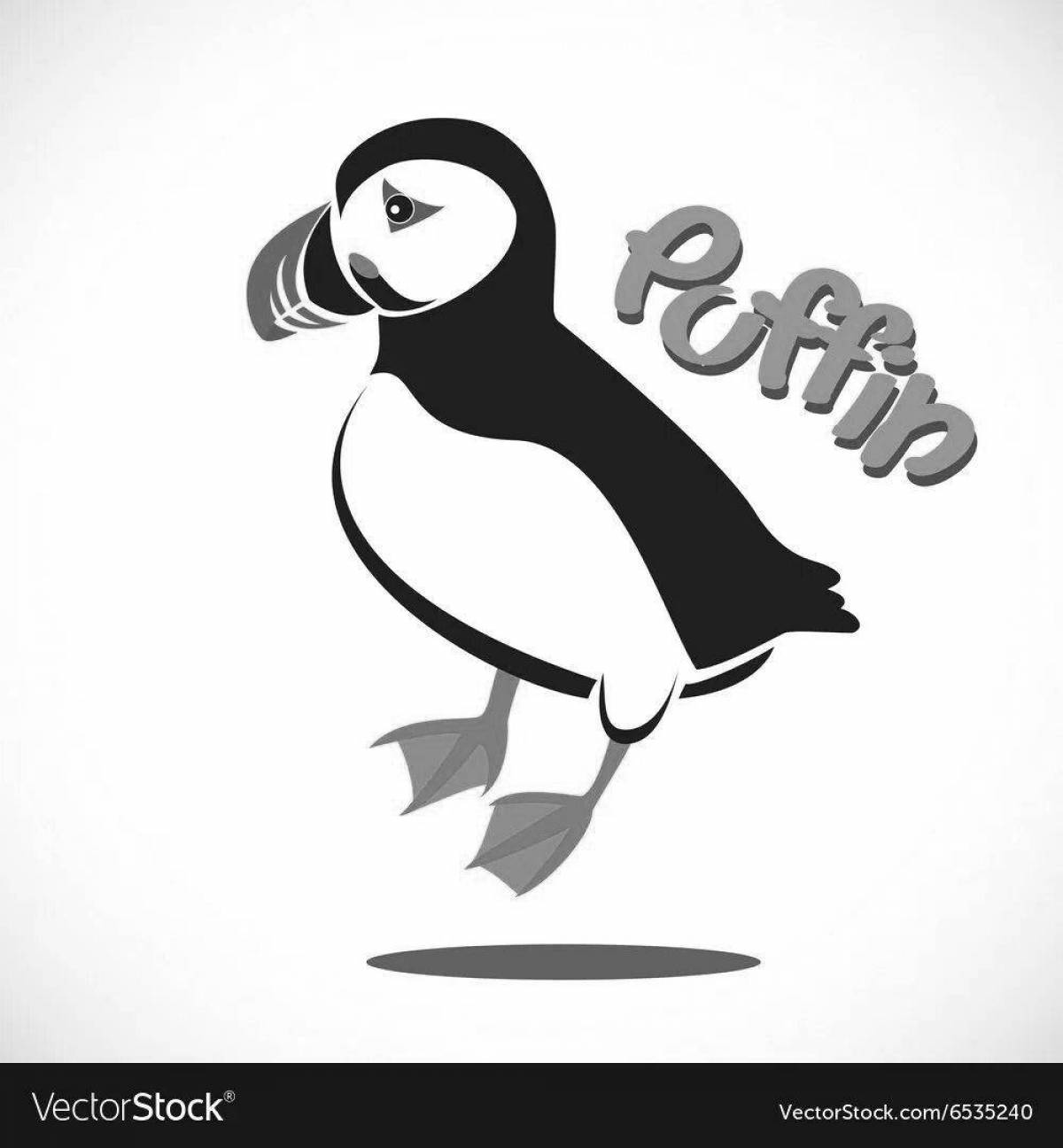 Coloring page dazzling puffin bird