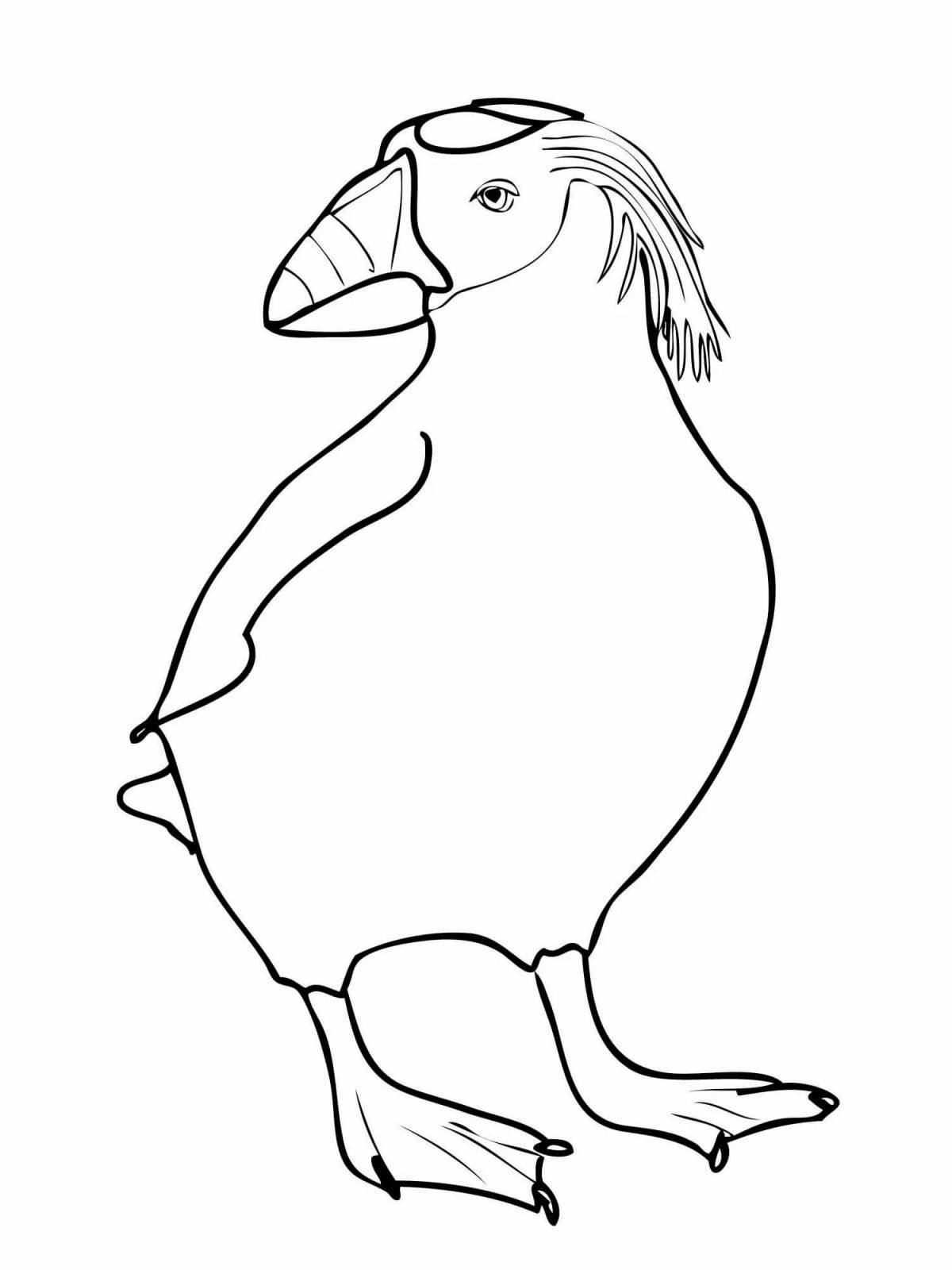 Coloring page wild puffin bird