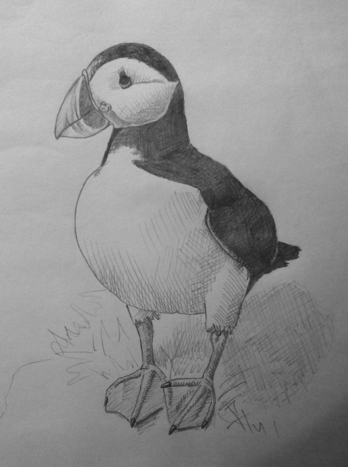 Animated puffin coloring page