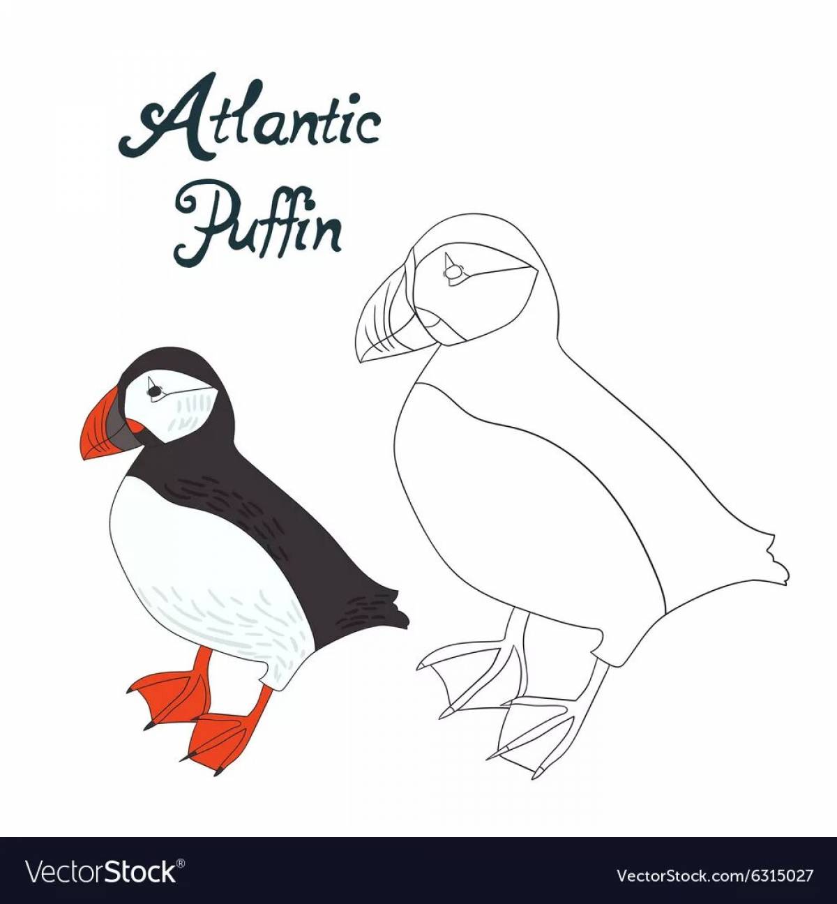 Coloring book shiny puffin bird
