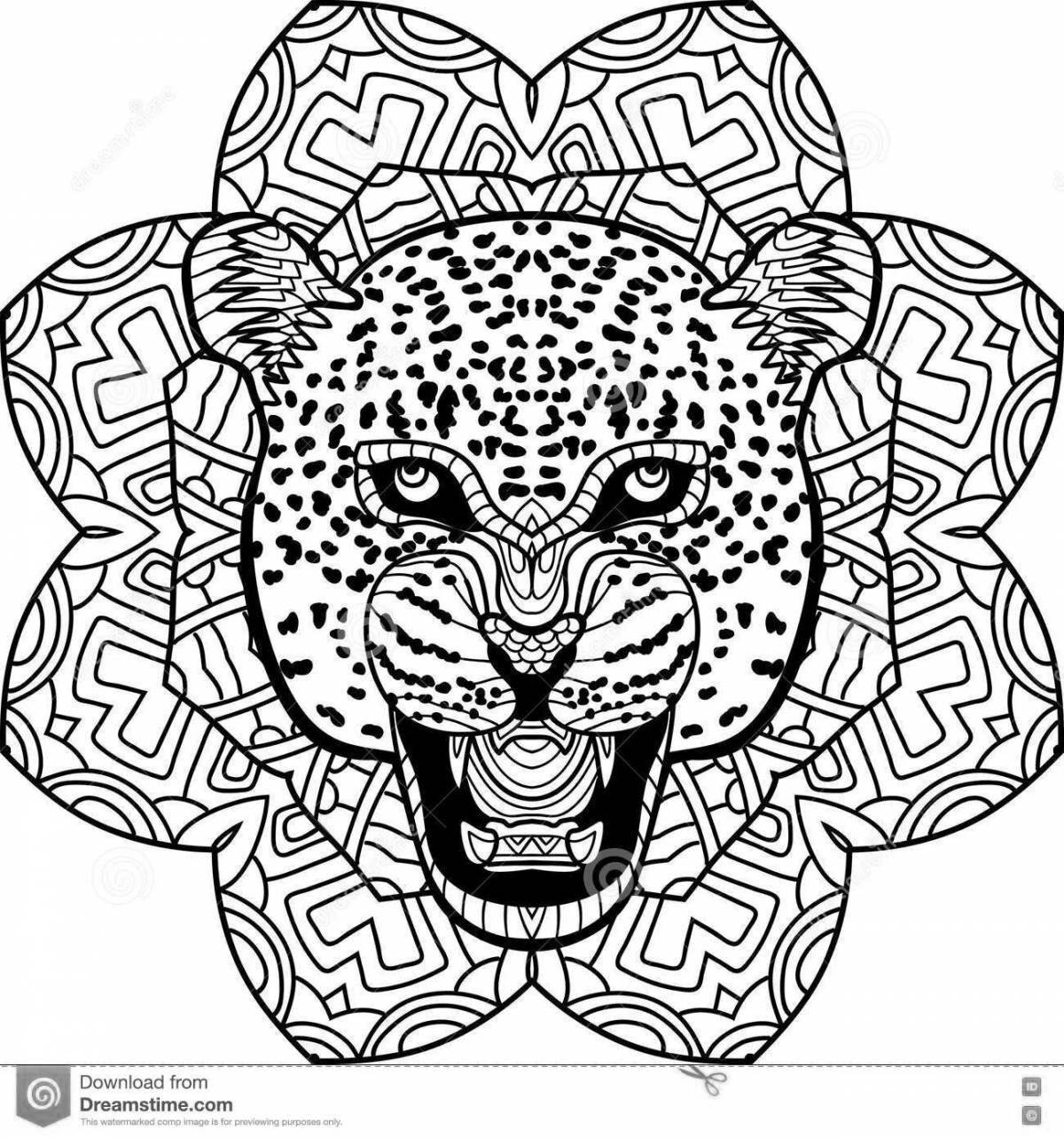 Outstanding leopard antistress coloring book