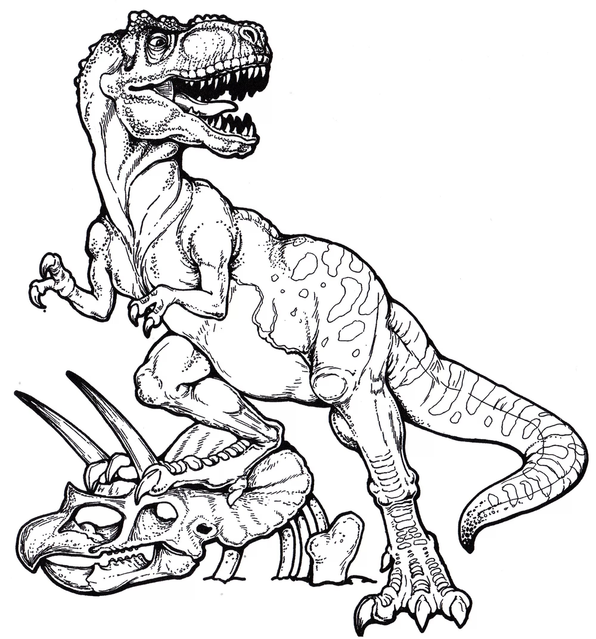 Tyrannosaurus rex spectacular seal coloring page