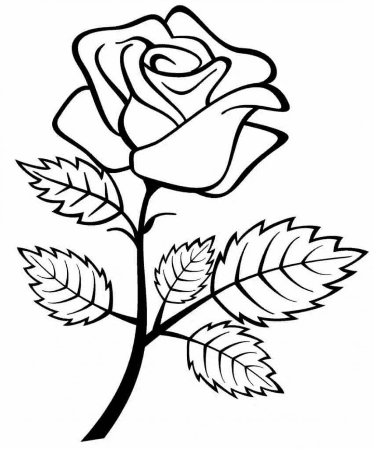 Роза рисунок раскраска