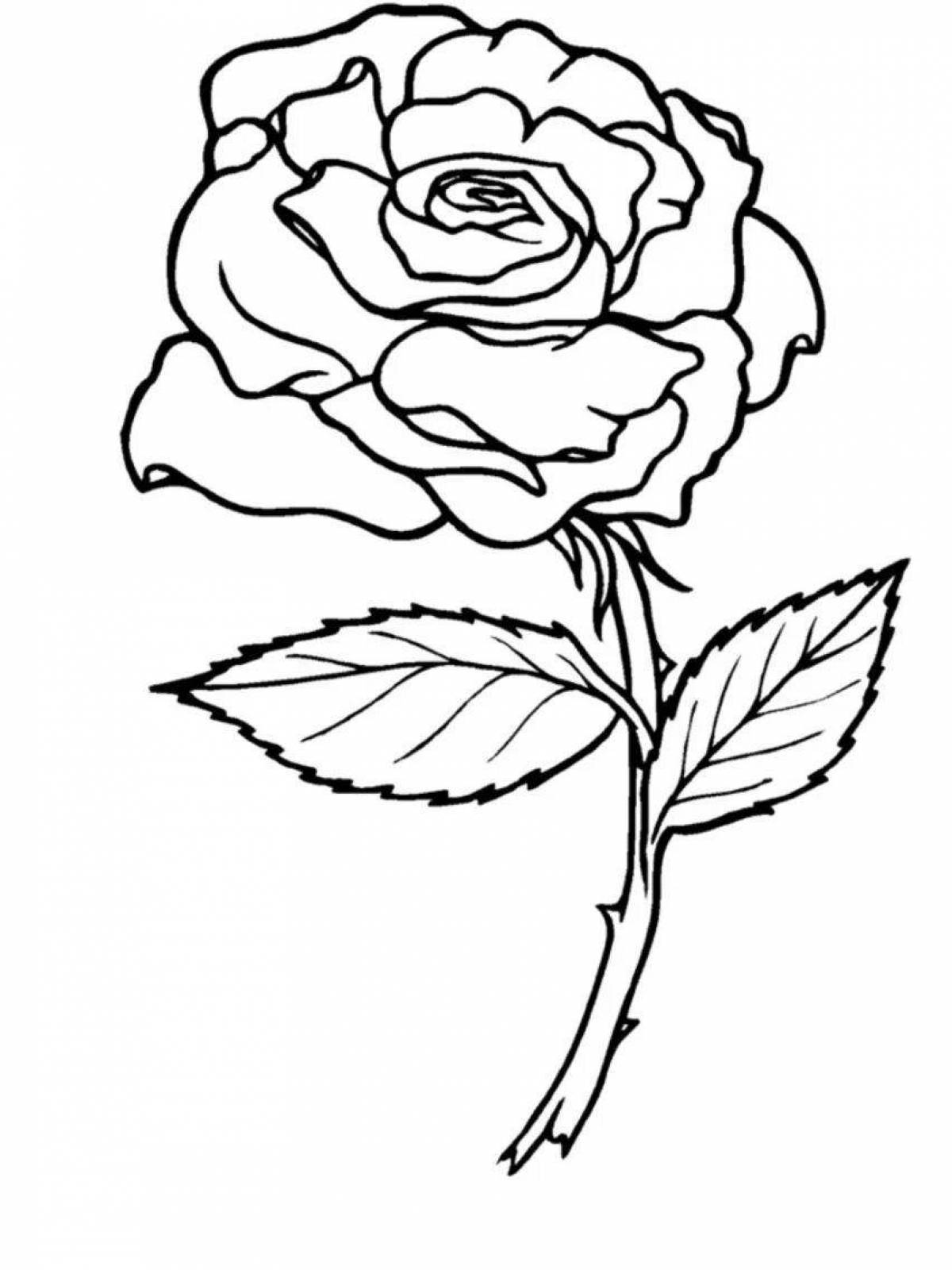 Blooming flowers coloring pages