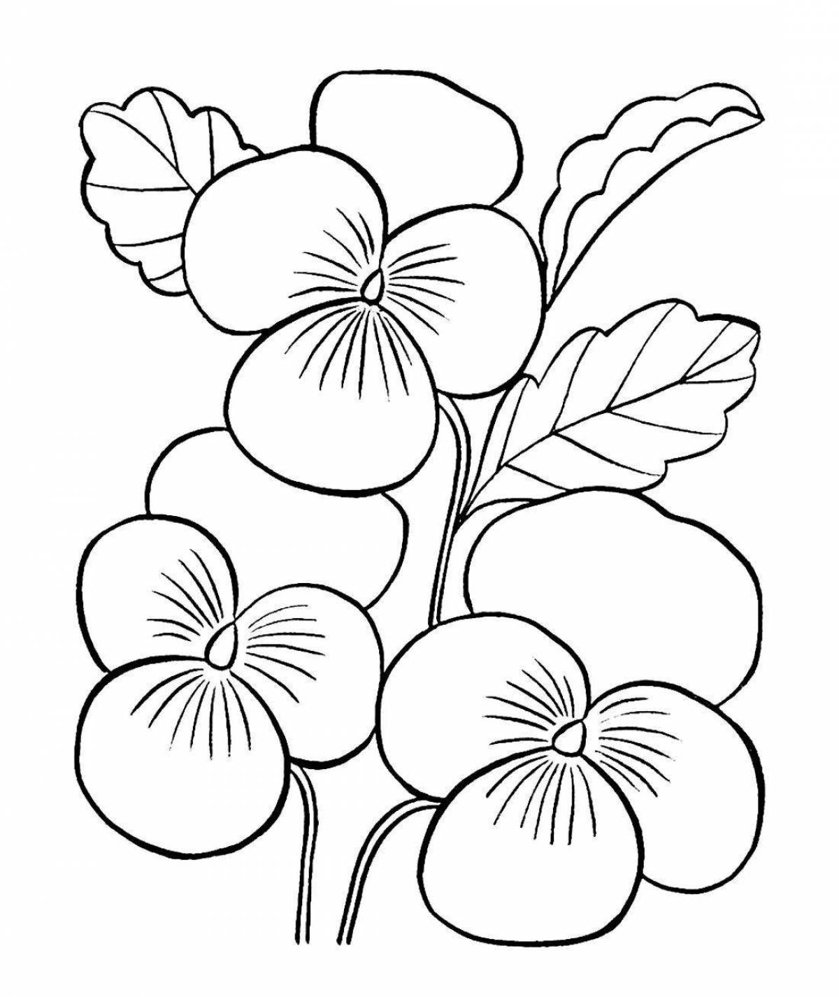 Coloring live flowers