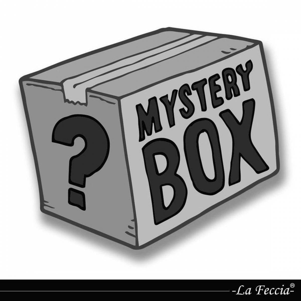 Photo Splendid mystery boxing coloring book