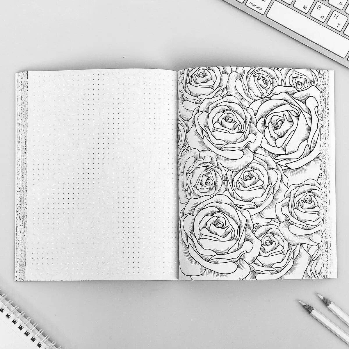 Shining anti-stress diary coloring page