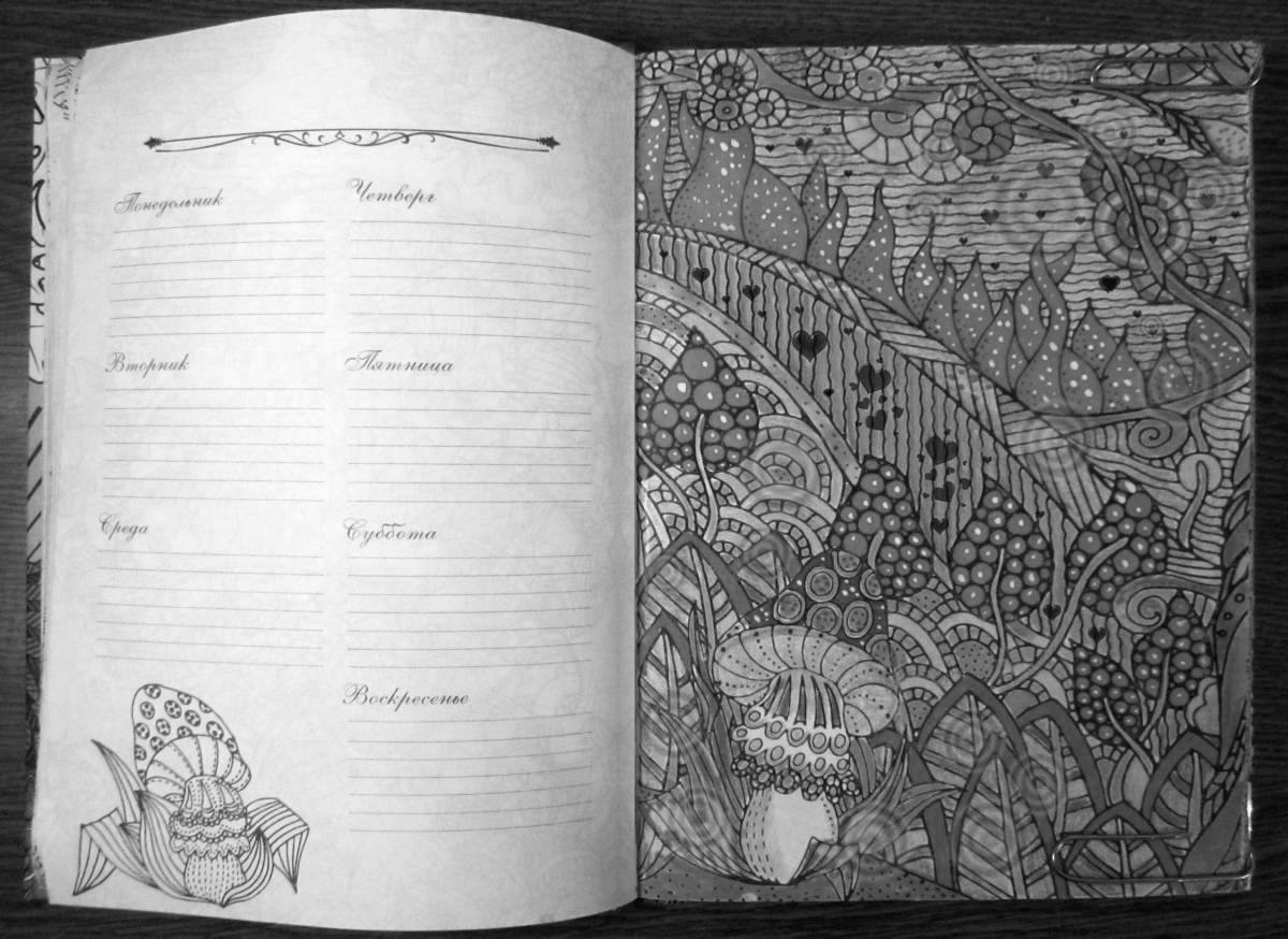 Exciting anti-stress coloring diary