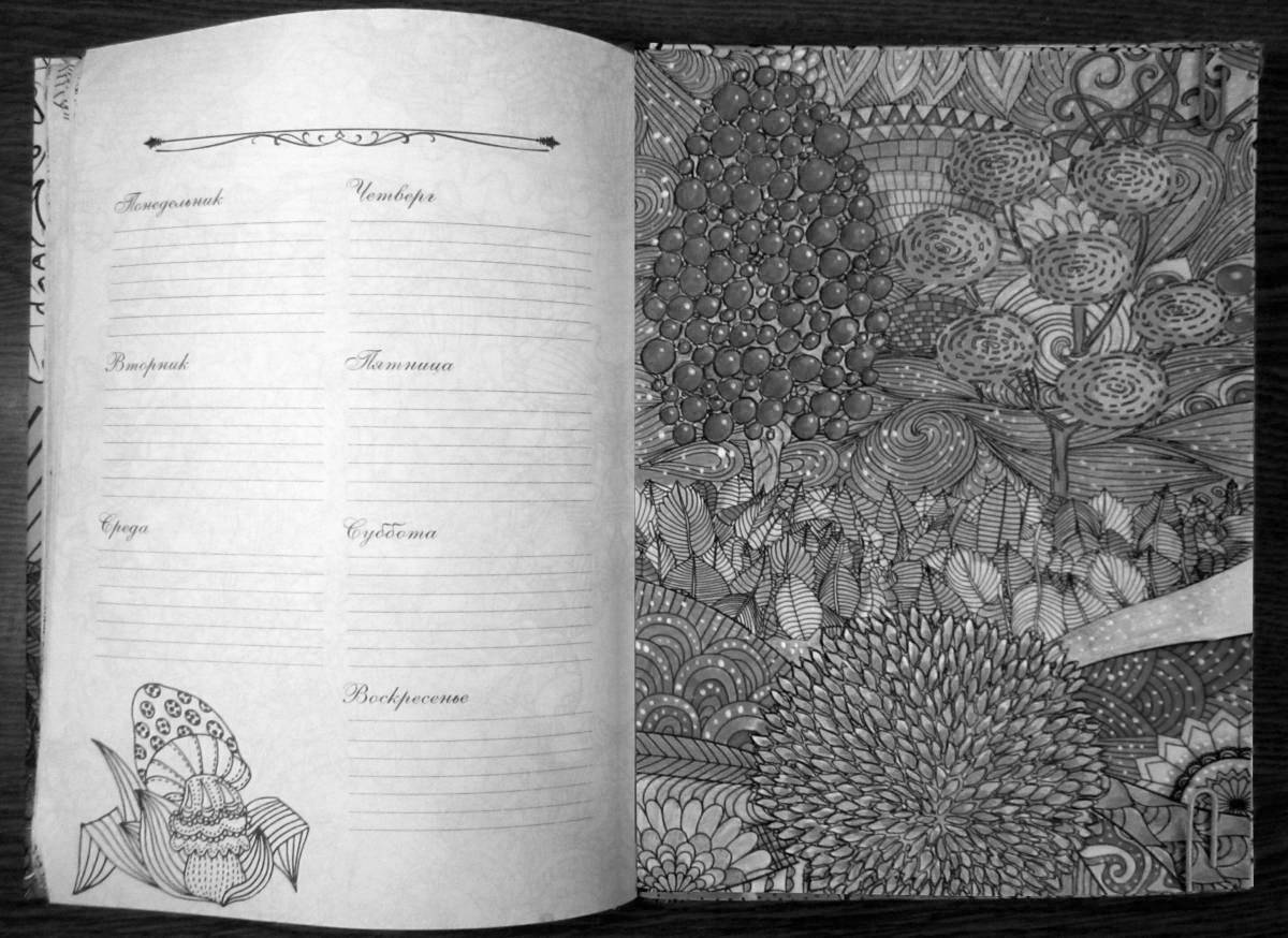 A fun anti-stress coloring diary
