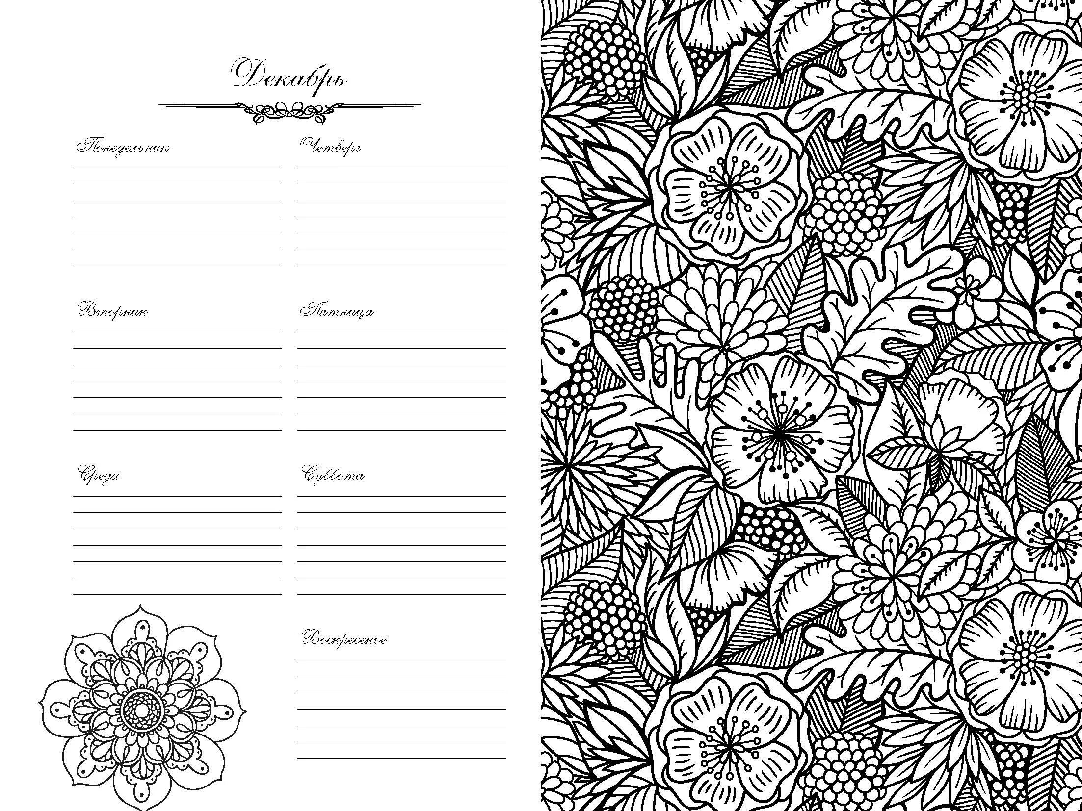 Inspiring anti-stress coloring diary