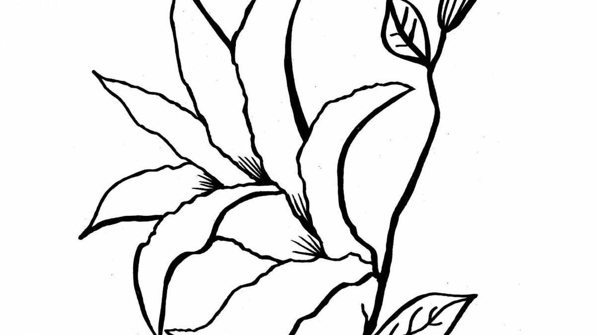 Colorful unknown flower coloring page