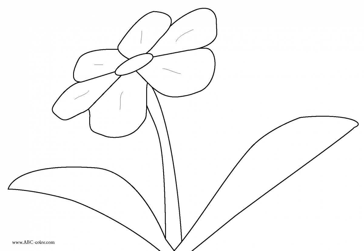 Изысканная страница раскраски неизвестного цветка