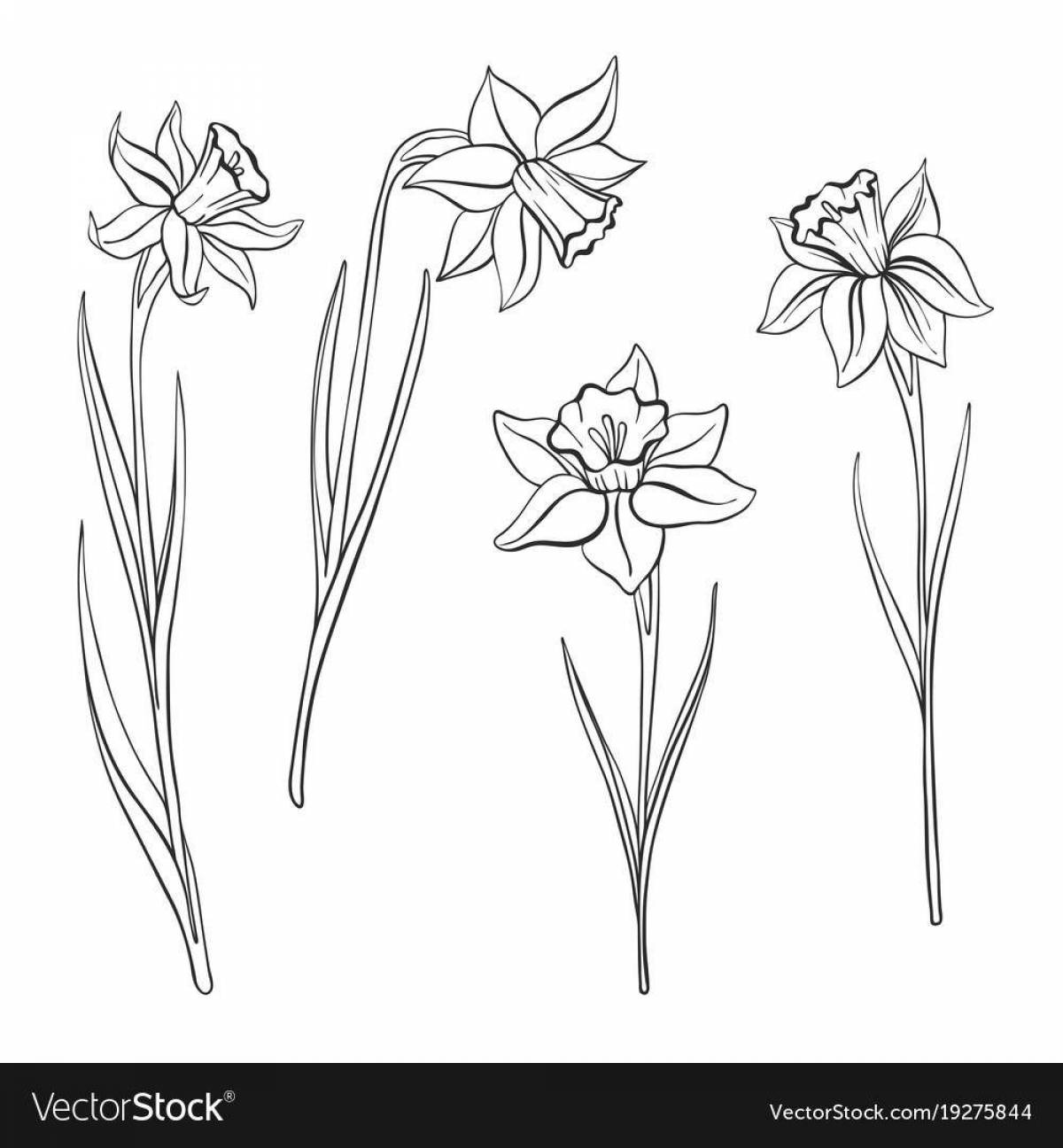 Coloring page dazzling unknown flower