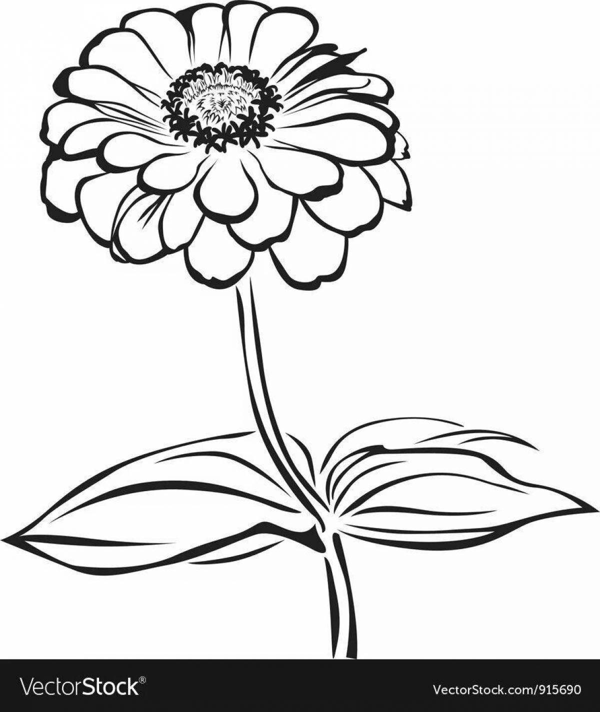 Unknown flower coloring page bold