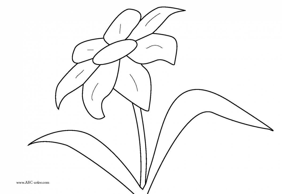 Coloring live unknown flower
