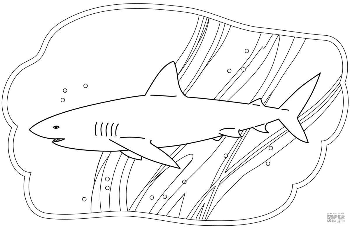 Яркая раскраска жир акулы