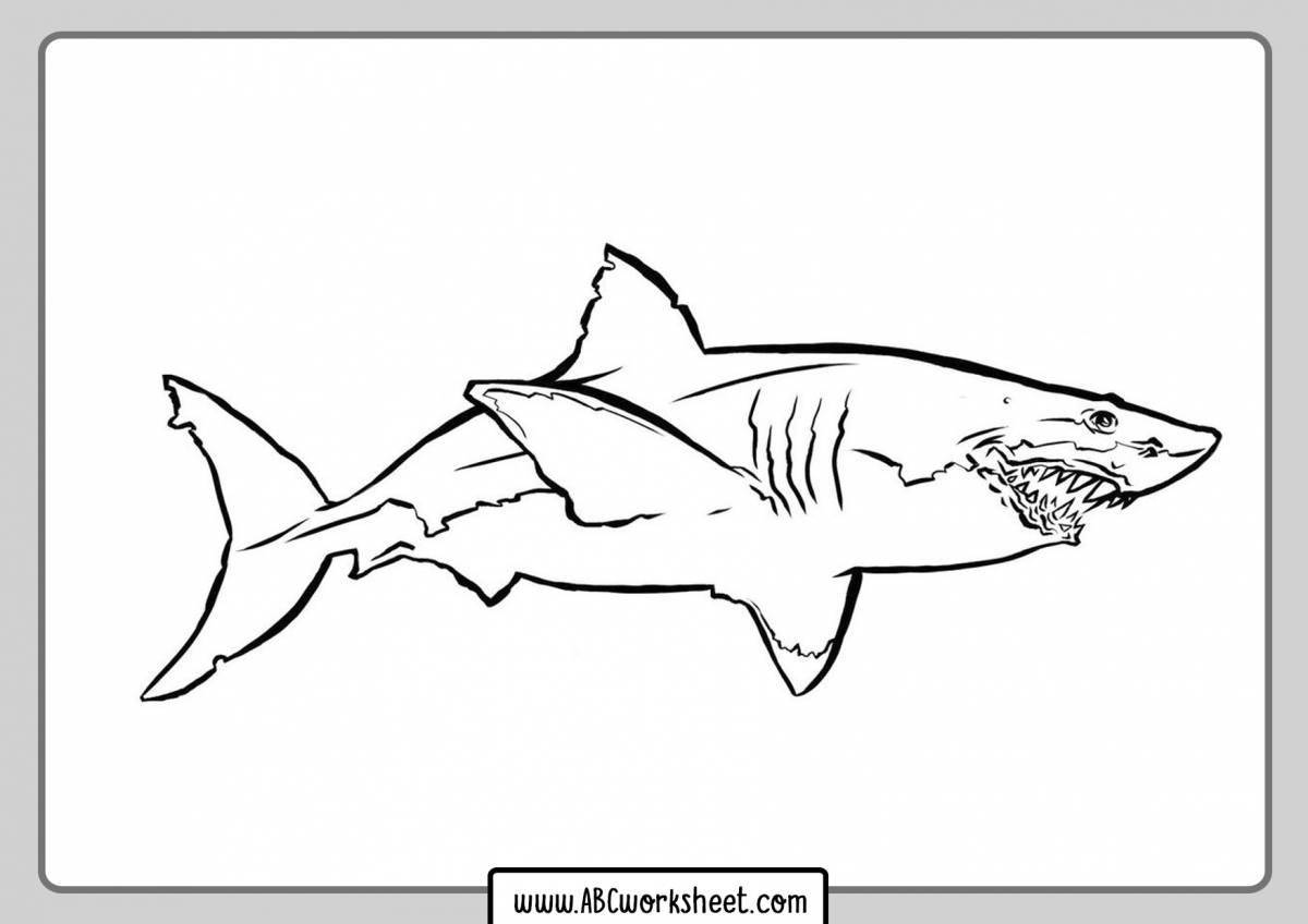 Bold shark fat coloring book