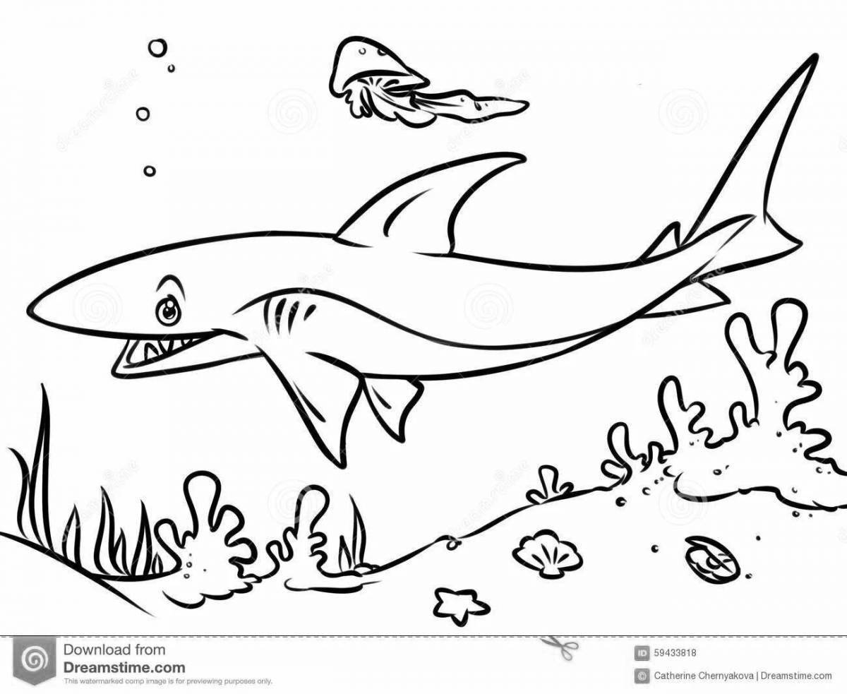 Восхитительная раскраска акулий жир
