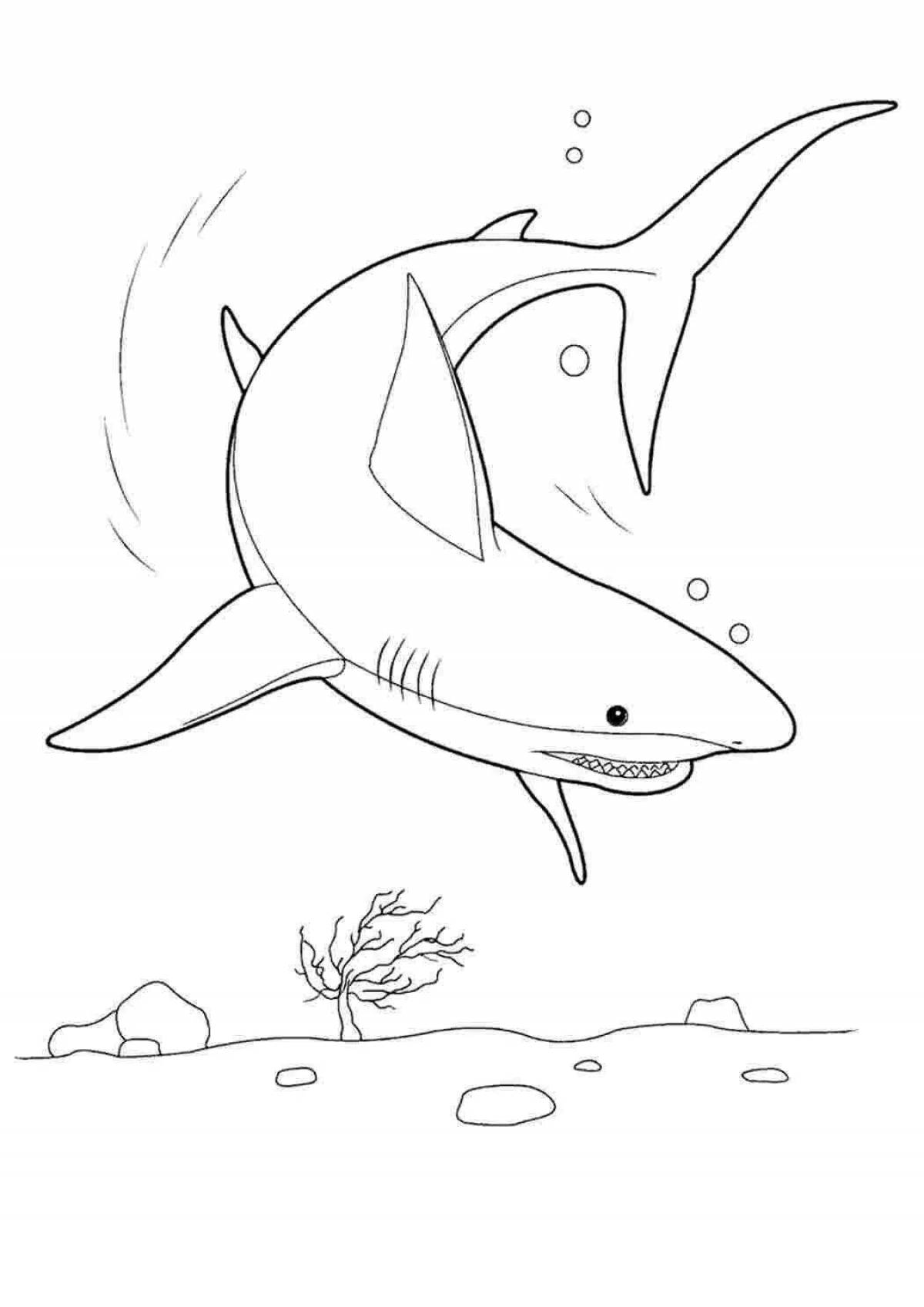 Fun Coloring Shark Fat