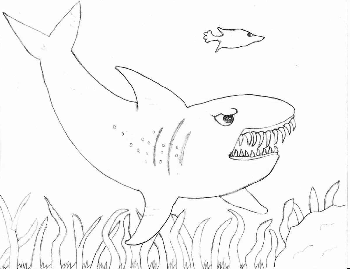 Amazing fat shark coloring book