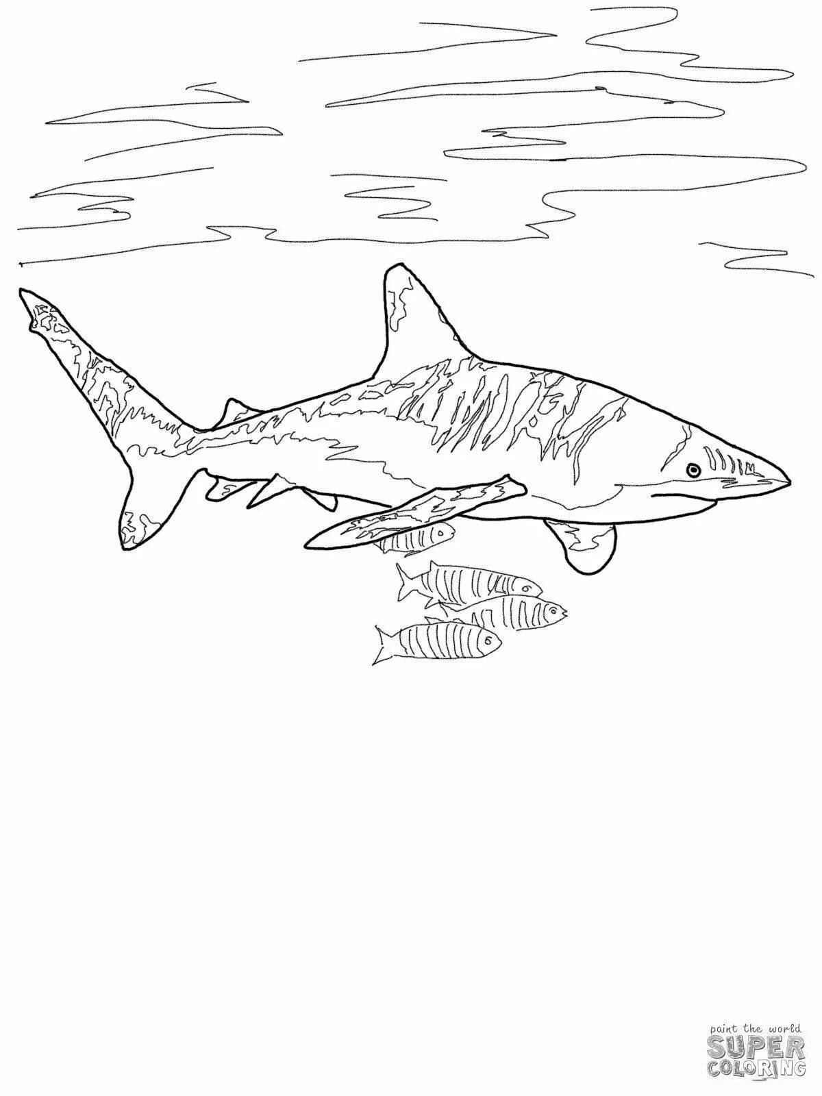 Гламурная раскраска жир акулы