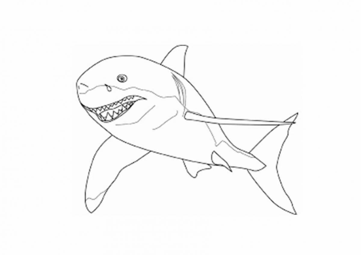 Intriguing fat shark coloring book
