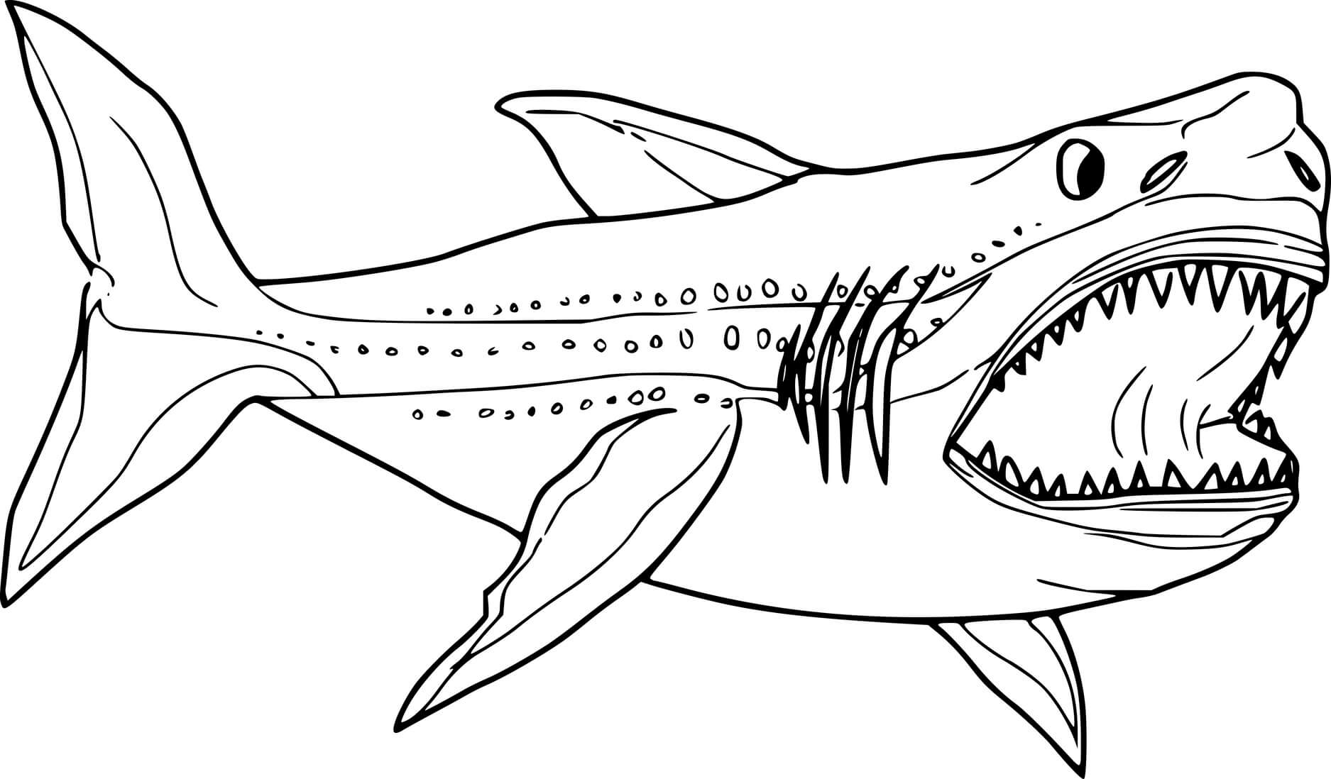 Humorous coloring book fat shark