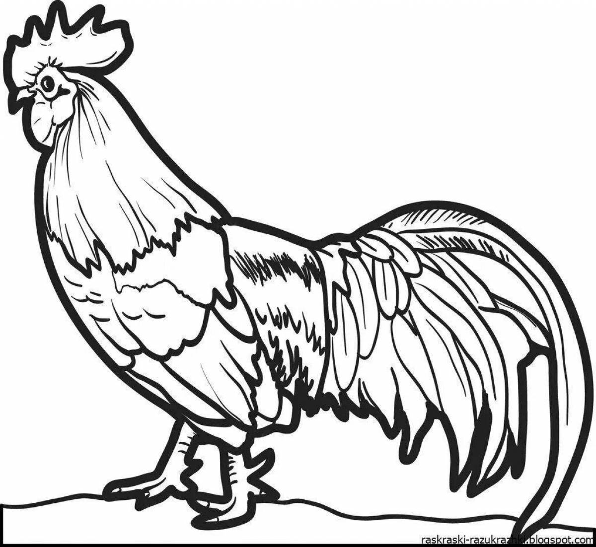 Colouring bright rooster